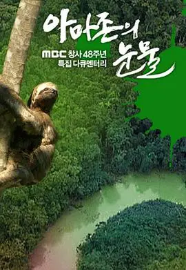 《亚马逊的眼泪》：一部震撼人心的纪录片，揭露雨林深处的残酷真相与希望！