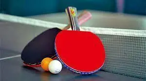 巴黎奥运会乒乓球男团半决赛：日本 vs 瑞典，巅峰对决，谁能问鼎决赛？