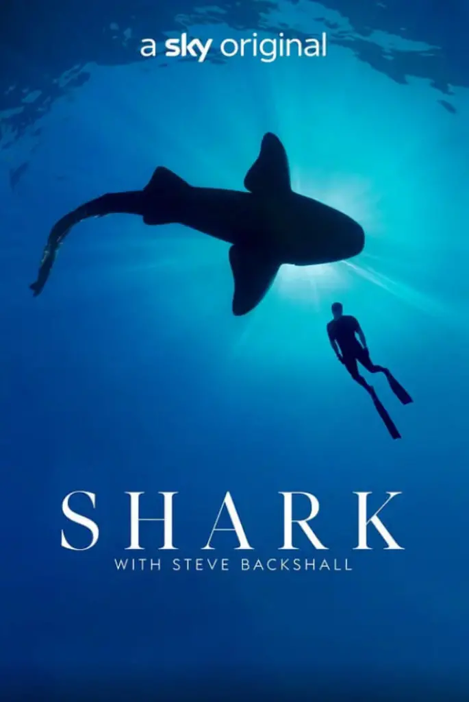 《与鲨共舞 第一季》：深海探秘还是生命冒险？揭秘鲨鱼不为人知的一面！