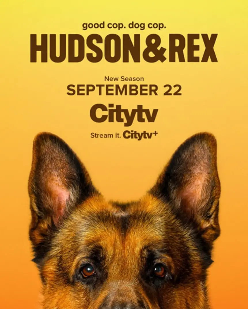 《哈德森与雷克斯 第八季》：警犬搭档再续前缘，温情与惊险并存，解锁罪案推理新高度！